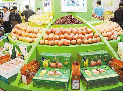 德合鑫農副產品展銷會“廣西行”即將啟動，首站落地百色